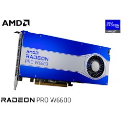 T.V. AMD RADEON PRO W6600 8GB GDDR6 (100-506208)
