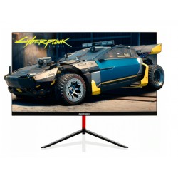 24" LED RIOTORO SR2405R FULL HD 165HZ 1MSG 1XHDMI